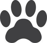 Paw print icon